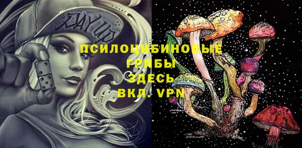 крисы Хадыженск